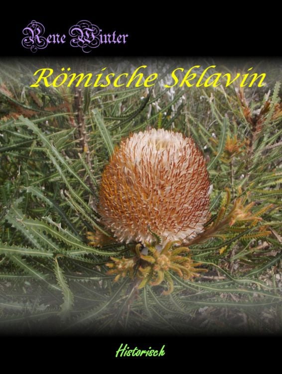 Produktbild: R&ouml;mische Sklavin