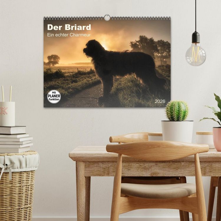 Produktbild: Der Briard 2026 - Ein echter Charmeur (Wandkalender 2026 DIN A3 quer), CALVENDO Monatskalender