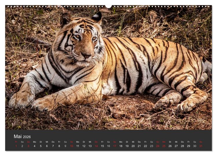 Produktbild: Indien 2026 Tempel, Tiger und Pal&auml;ste (hochwertiger Premium Wandkalender 2026 DIN A2 quer), Kunstdruck in Hochglanz