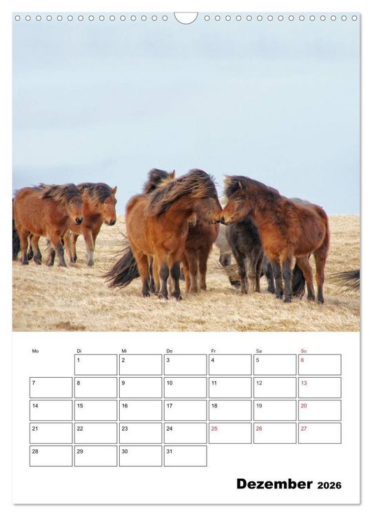 Produktbild: ISLANDPFERDE an der K&uuml;ste von Sn&aelig;fellsnes (Wandkalender 2026 DIN A3 hoch), CALVENDO Monatskalender