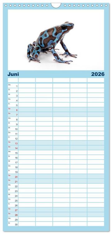 Produktbild: Familienplaner 2026 - Farbenpracht der Fr&ouml;sche mit 5 Spalten (Wandkalender, 21 x 45 cm) CALVENDO