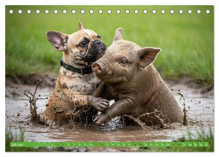 Produktbild: Muddi Buddies &ndash; Freundschaft im Matsch (Tischkalender 2026 DIN A5 quer), CALVENDO Monatskalender