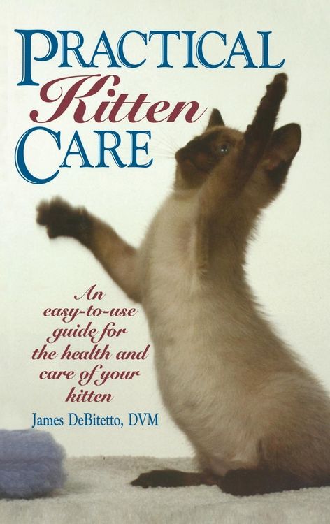 Produktbild: Practical Kitten Care