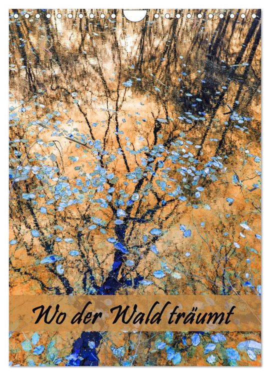 Produktbild: Wo der Wald tr&auml;umt (Wandkalender 2026 DIN A4 hoch), CALVENDO Monatskalender