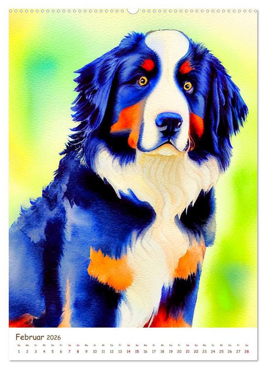 Produktbild: Berner Sennenhund 2026. Sch&ouml;ne Aquarelle der schweizer Hunderasse (hochwertiger Premium Wandkalender 2026 DIN A2 hoch), Kunstdruck in Hochglanz