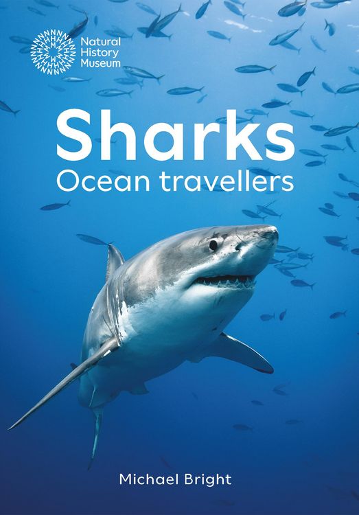 Produktbild: Sharks