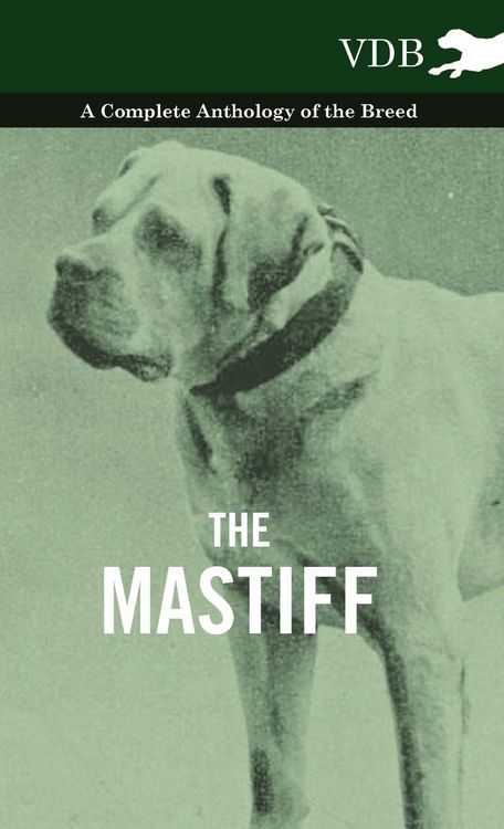 Produktbild: The Mastiff - A Complete Anthology of the Breed