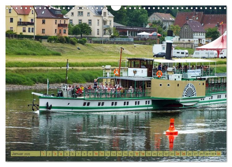 Produktbild: Seitenraddampfer &ndash; In Sachsen von K&ouml;nigstein bis Bad Schandau (Wandkalender 2026 DIN A3 quer), CALVENDO Monatskalender