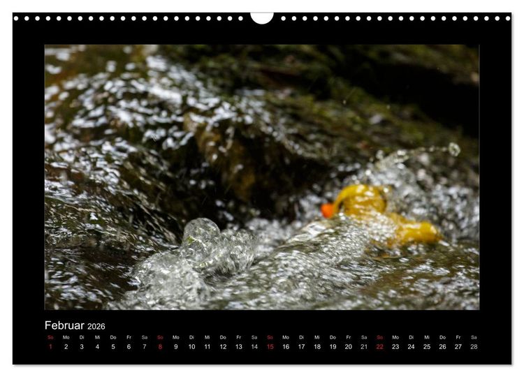 Produktbild: Enten-Rennen (Wandkalender 2026 DIN A3 quer), CALVENDO Monatskalender