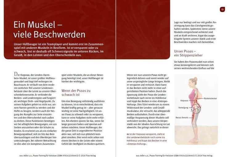 Produktbild: Psoas-Training für Vielsitzer