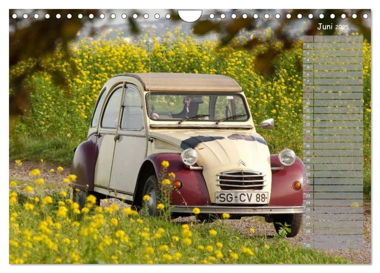 Produktbild: Kultautomobil Ente Citro&euml;n 2CV (Wandkalender 2025 DIN A4 quer), CALVENDO Monatskalender