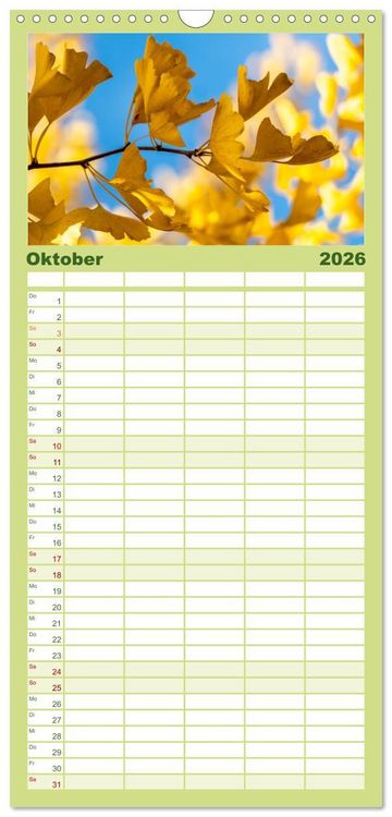 Produktbild: Familienplaner 2026 - Mit Ginkgo biloba durch das Jahr mit 5 Spalten (Wandkalender, 21 x 45 cm) CALVENDO