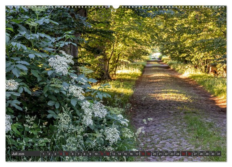 Produktbild: R&uuml;gen - Inseltraumblicke (hochwertiger Premium Wandkalender 2026 DIN A2 quer), Kunstdruck in Hochglanz