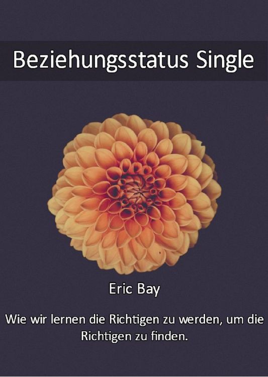 Produktbild: Beziehungsstatus Single