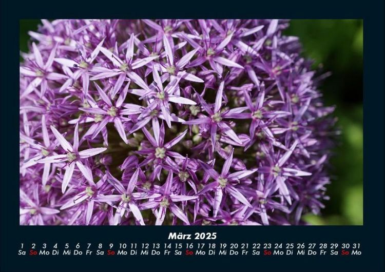 Produktbild: Blumenkalender 2025 Fotokalender DIN A4