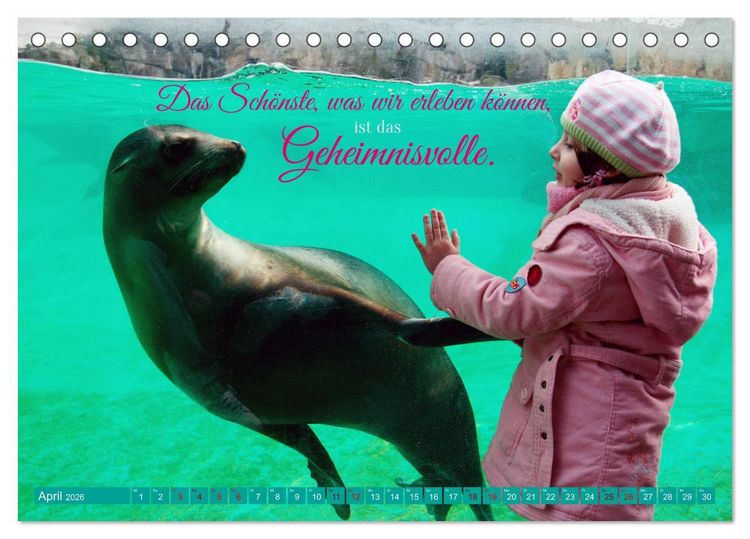 Produktbild: Jeder ist ein Genie! Zitate von Albert Einstein (Tischkalender 2026 DIN A5 quer), CALVENDO Monatskalender