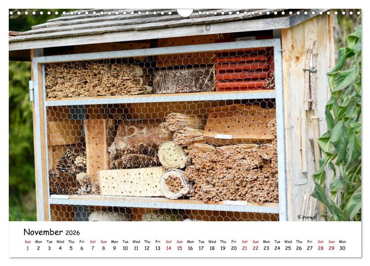 Produktbild: Wild bees - The life of solitary bees in insect hotels (Wall Calendar 2026 DIN A3 landscape), CALVENDO 12 Month Wall Calendar