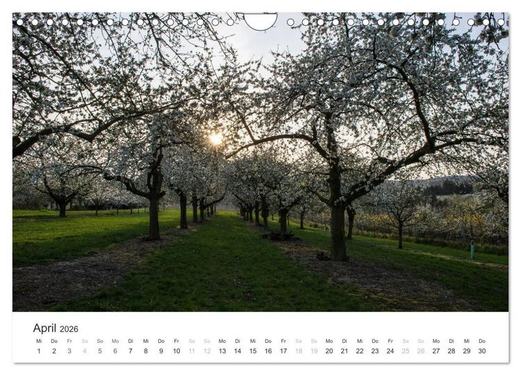 Produktbild: Du sch&ouml;nes Wiesbaden (Wandkalender 2026 DIN A4 quer), CALVENDO Monatskalender