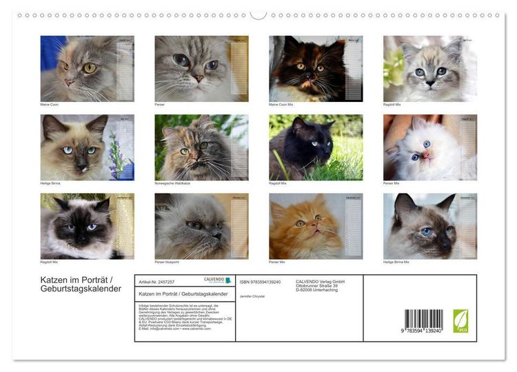 Produktbild: Katzen im Portr&auml;t / Geburtstagskalender (hochwertiger Premium Wandkalender 2027 DIN A2 quer), Kunstdruck in Hochglanz