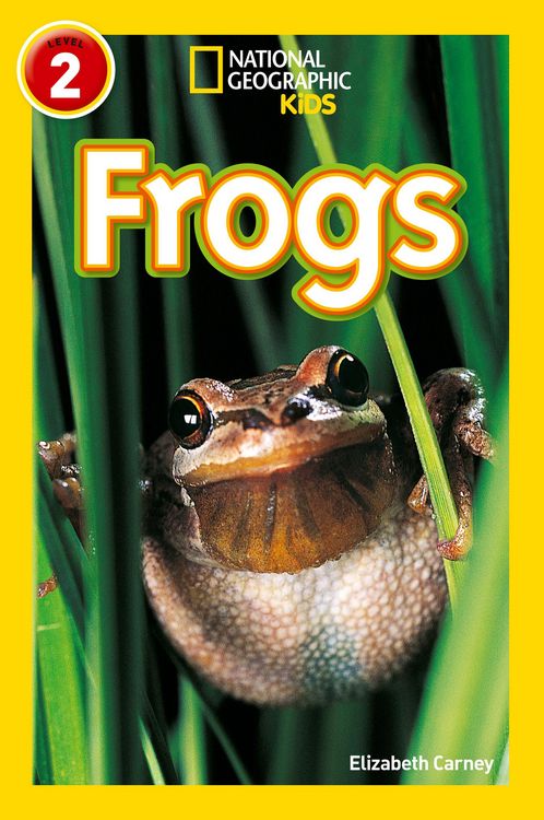 Produktbild: NAT GEO READER - FROGS