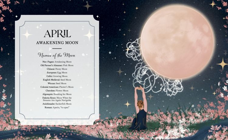 Produktbild: The Full Moon Yearbook