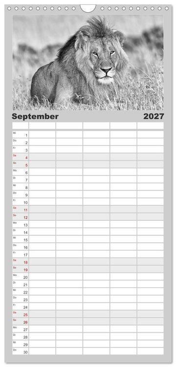 Produktbild: Familienplaner 2027 - Afrika Schwarz - Weiss mit 5 Spalten (Wandkalender, 21 x 45 cm) CALVENDO