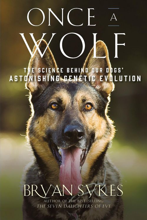 Produktbild: Once a Wolf