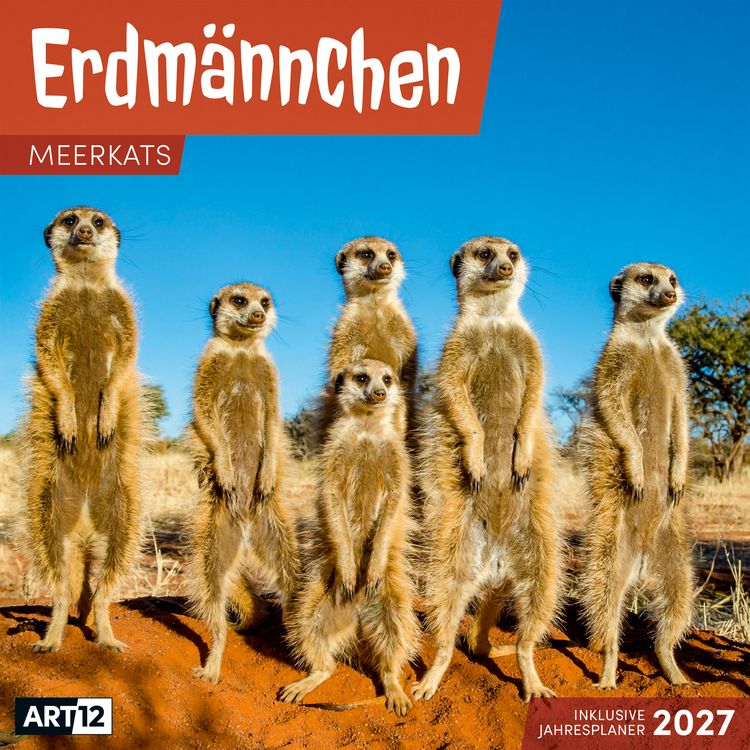 Produktbild: Erdm&auml;nnchen Kalender 2027 - 30x30 - Art12