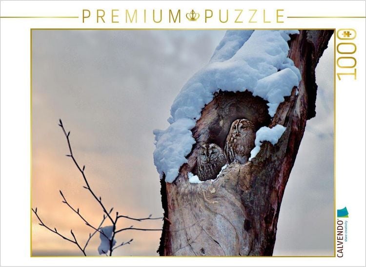 Produktbild: CALVENDO Puzzle Winter im Kauzwald | 1000 Teile Lege-Gr&ouml;&szlig;e 64x48cm Foto-Puzzle f&uuml;r gl&uuml;ckliche Stunden