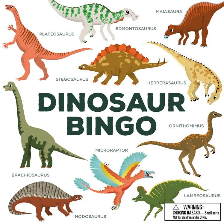 Produktbild: Dinosaur Bingo (Kinderspiel)