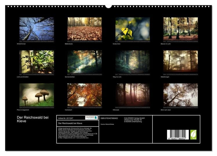 Produktbild: Der Reichswald bei Kleve (hochwertiger Premium Wandkalender 2026 DIN A2 quer), Kunstdruck in Hochglanz