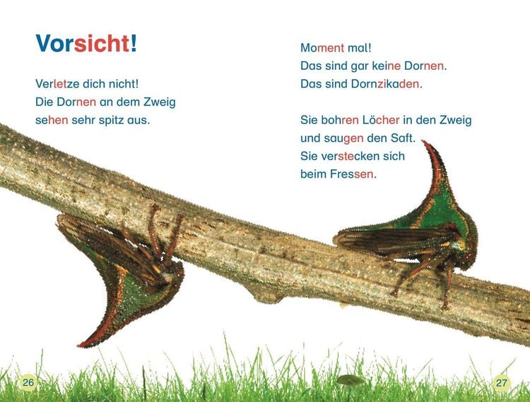 Produktbild: SUPERLESER! Insekten, top getarnt