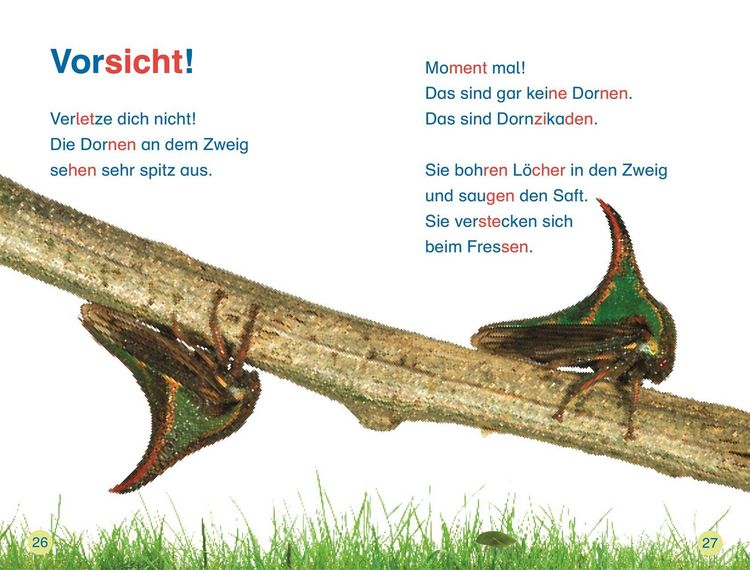 Produktbild: SUPERLESER! Insekten, top getarnt