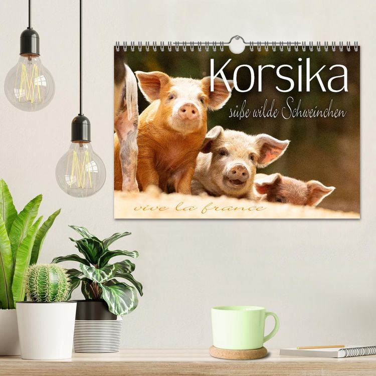 Produktbild: Korsika - s&uuml;&szlig;e, wilde Schweinchen (Wandkalender 2026 DIN A4 quer), CALVENDO Monatskalender