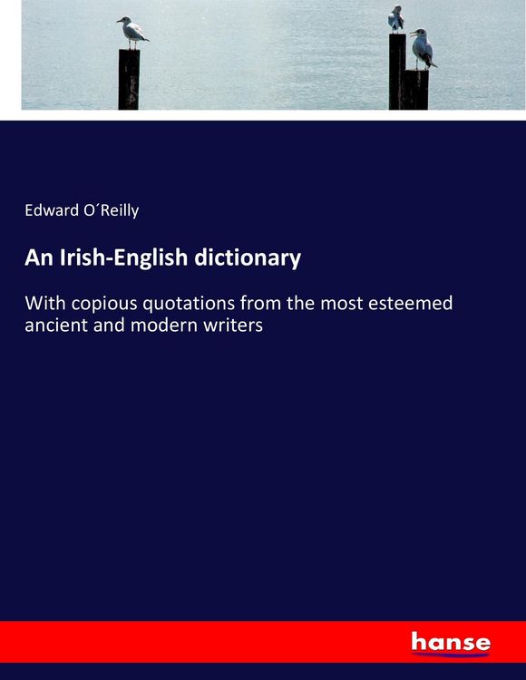 Produktbild: An Irish-English dictionary