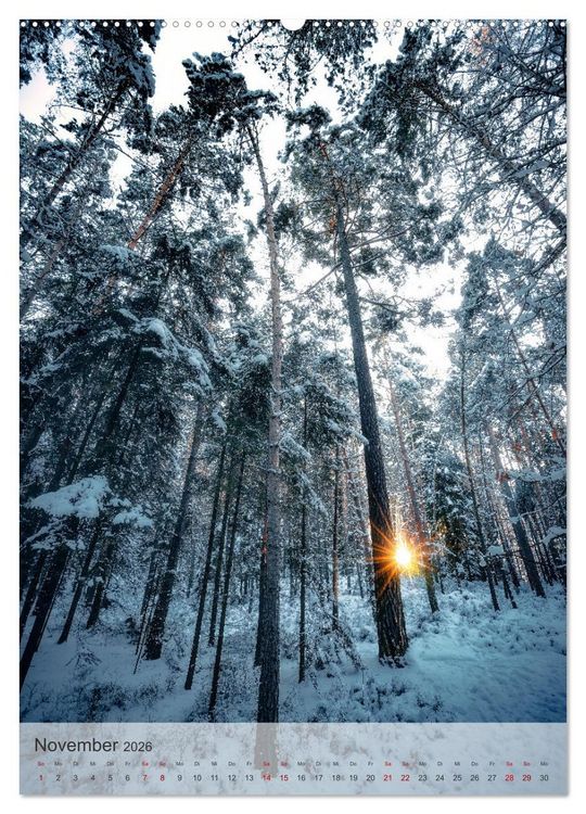 Produktbild: Winter Spaziergang (Wandkalender 2026 DIN A2 hoch), CALVENDO Monatskalender
