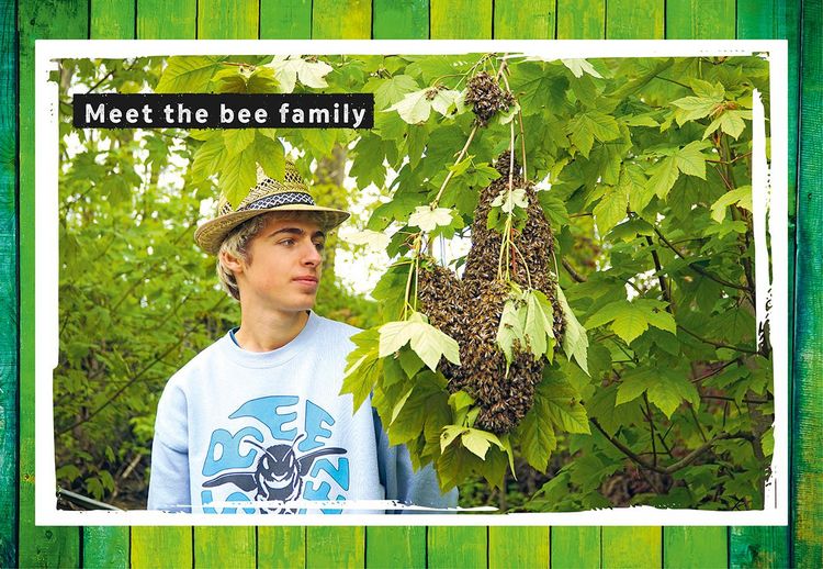Produktbild: #meetthebeefamily