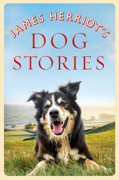 Produktbild: James Herriot's Dog Stories