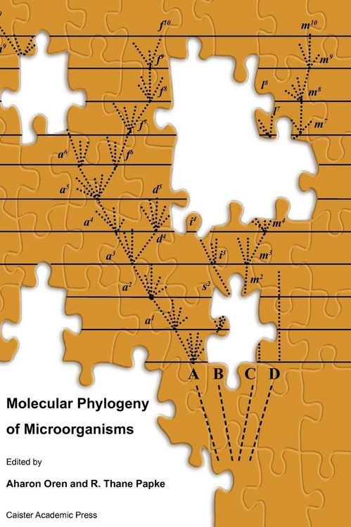 Produktbild: Molecular Phylogeny of Microorganisms