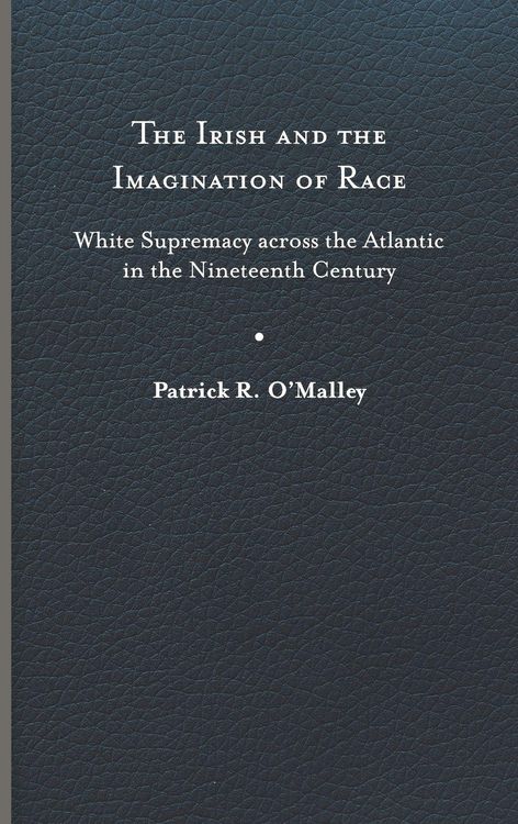 Produktbild: Irish and the Imagination of Race