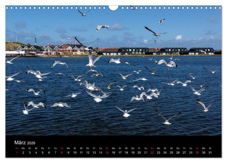 Produktbild: D&auml;nemark - Umgebung von Hvide Sande (Wandkalender 2026 DIN A3 quer), CALVENDO Monatskalender