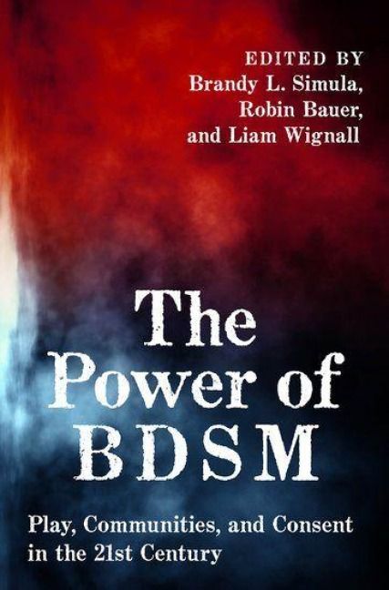Produktbild: The Power of Bdsm