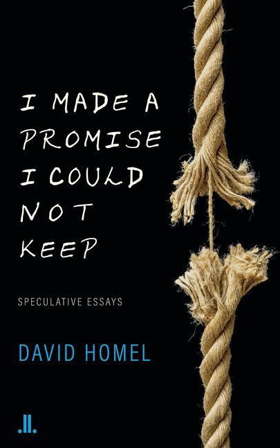Produktbild: I Made a Promise I Could Not Keep