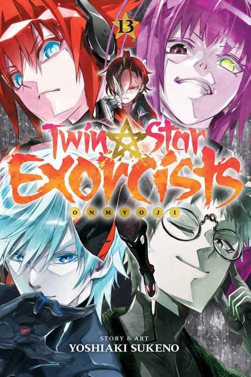 Produktbild: Twin Star Exorcists, Vol. 13