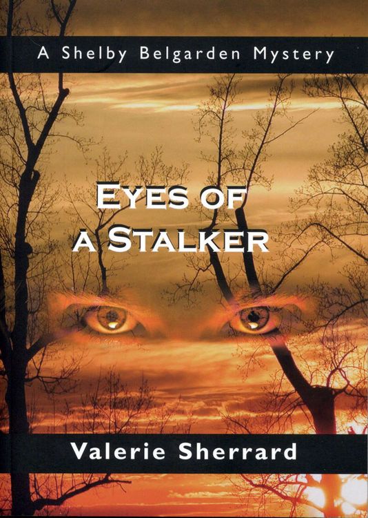 Produktbild: Eyes of a Stalker