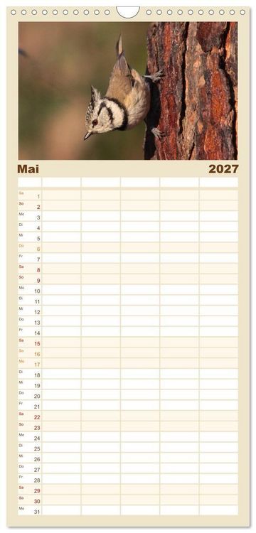 Produktbild: Familienplaner 2027 - V&ouml;gel ganz nah mit 5 Spalten (Wandkalender, 21 x 45 cm) CALVENDO