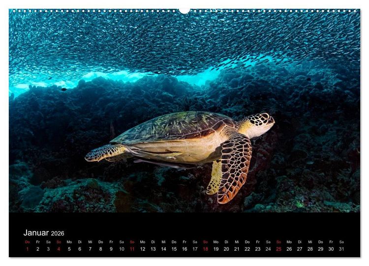 Produktbild: Philippinen - Natur und Fiesta (hochwertiger Premium Wandkalender 2026 DIN A2 quer), Kunstdruck in Hochglanz
