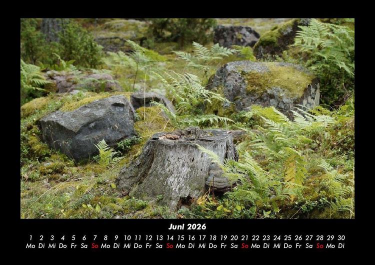 Produktbild: Bilder der Natur 2026 Fotokalender DIN A3