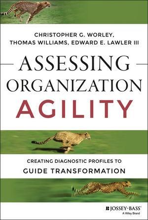 Produktbild: Assessing Organization Agility