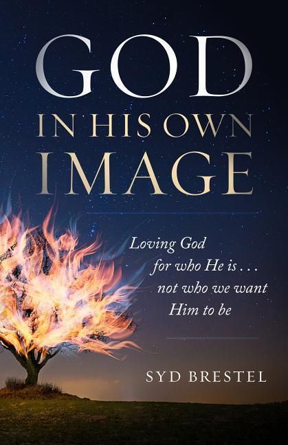 Produktbild: God in His Own Image
